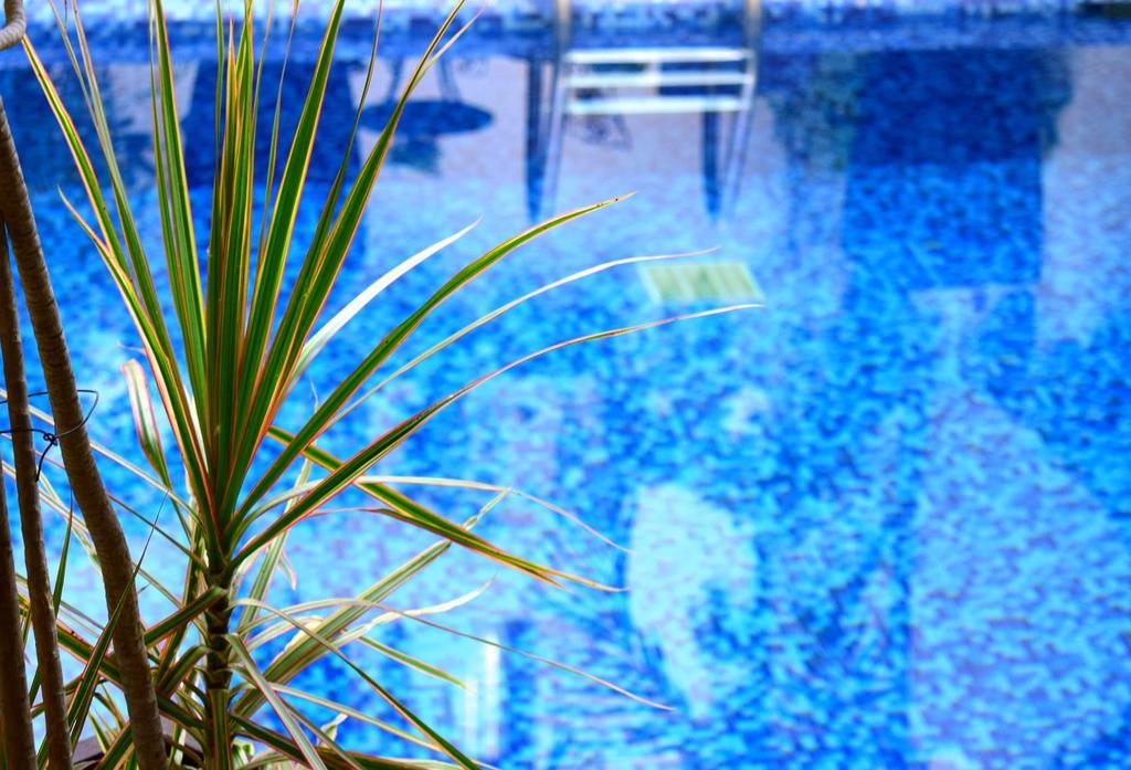 Caribe Corazon Hotel Boutique Плайя-дель-Кармен Екстер'єр фото